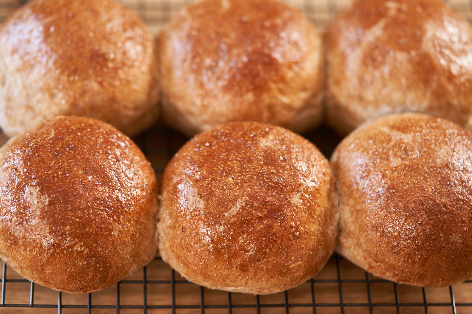 Panasonic bread maker wholemeal rolls
