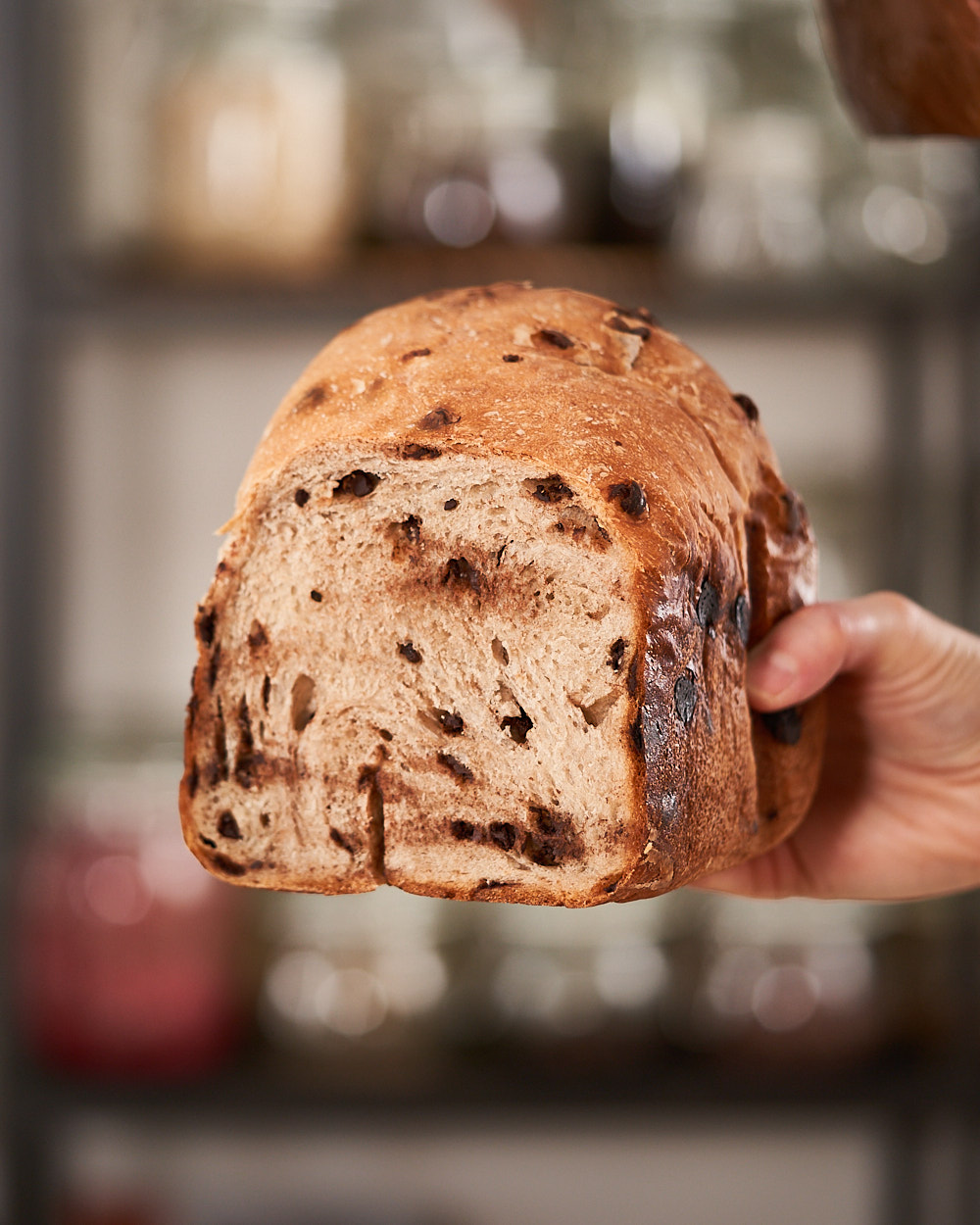Bread maker chocolate chip sourdough